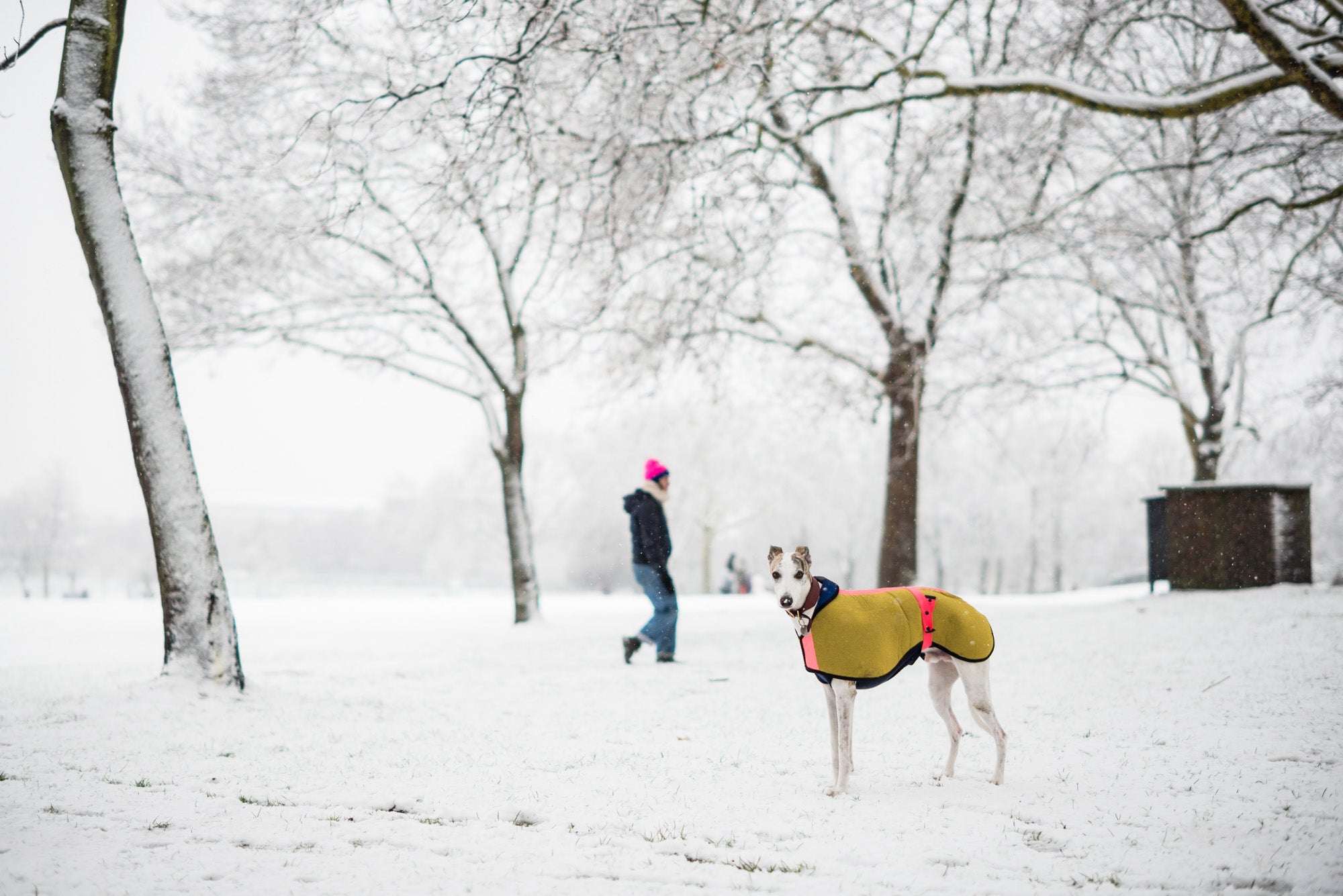 Water-proof Coat - DOGSNUG