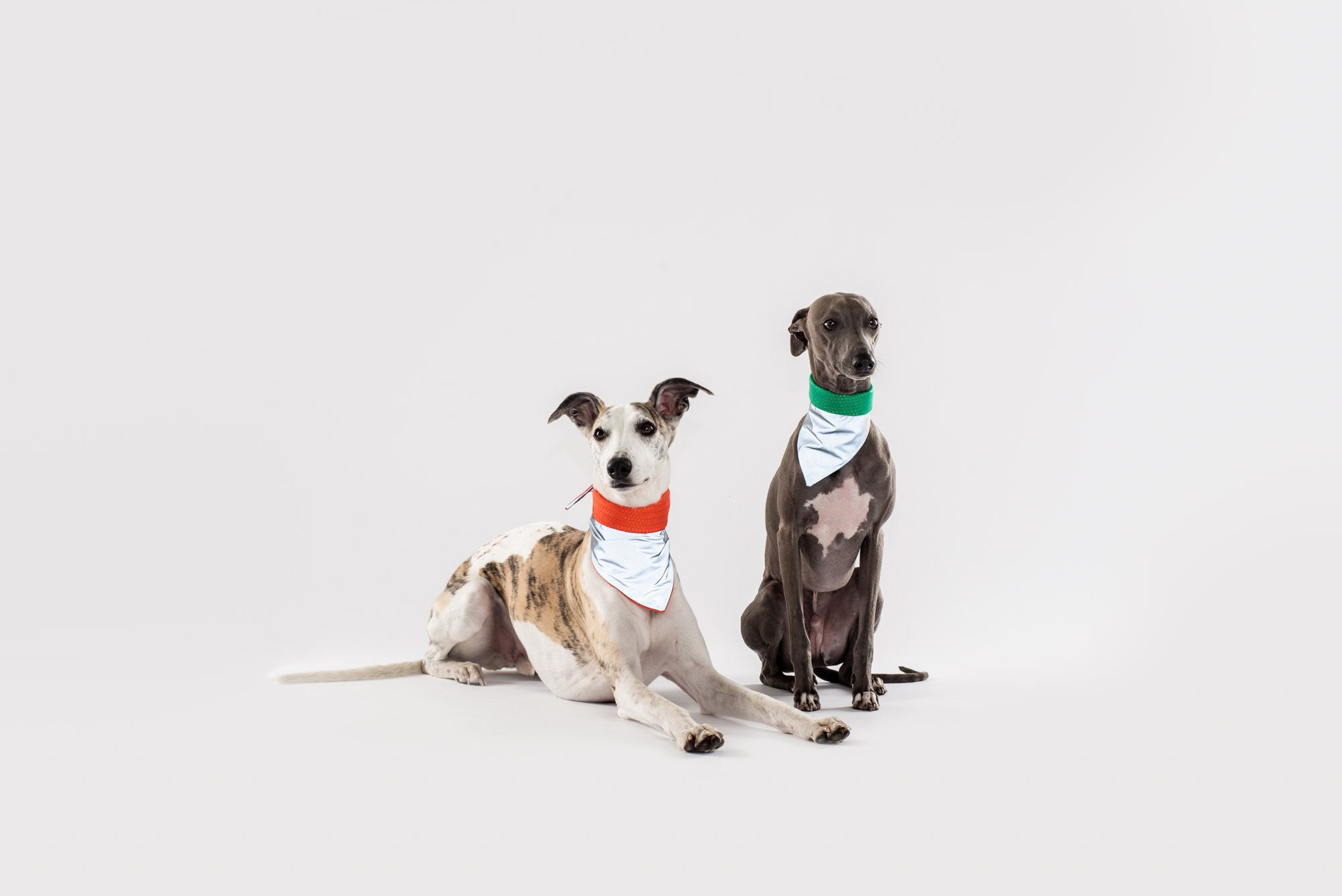 Reflective Cooling Bandana - DOGSNUG