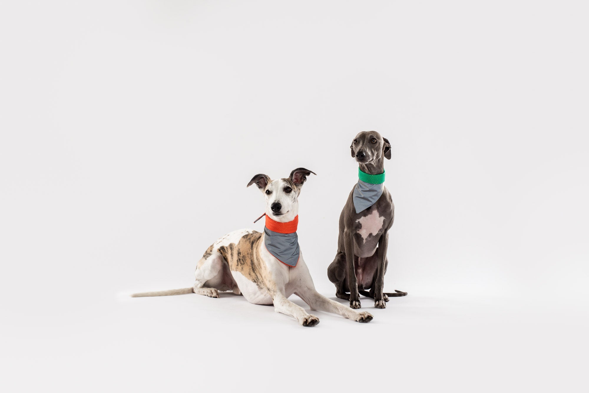 Reflective Cooling Bandana - DOGSNUG