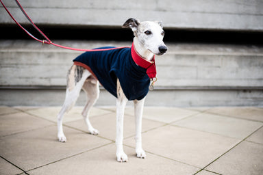 Lovely T-Shirt - DOGSNUG