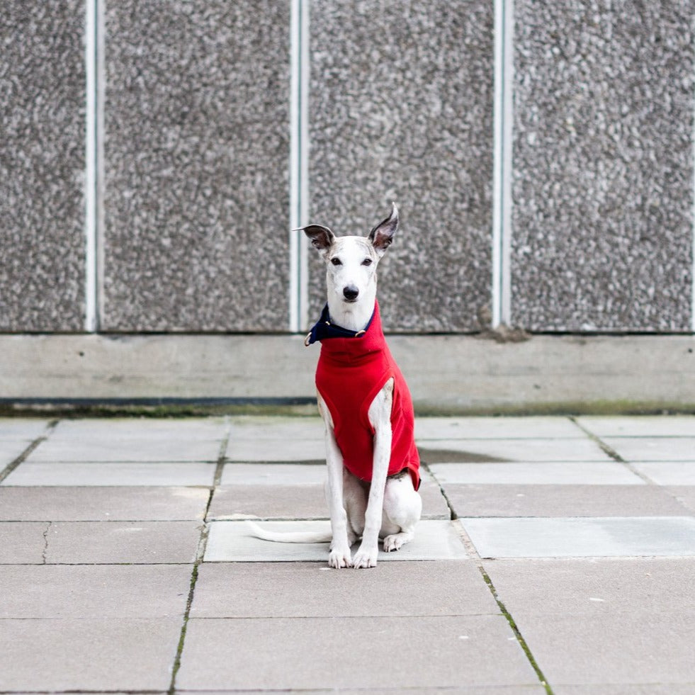 Fleece Jumper Simple - DOGSNUG