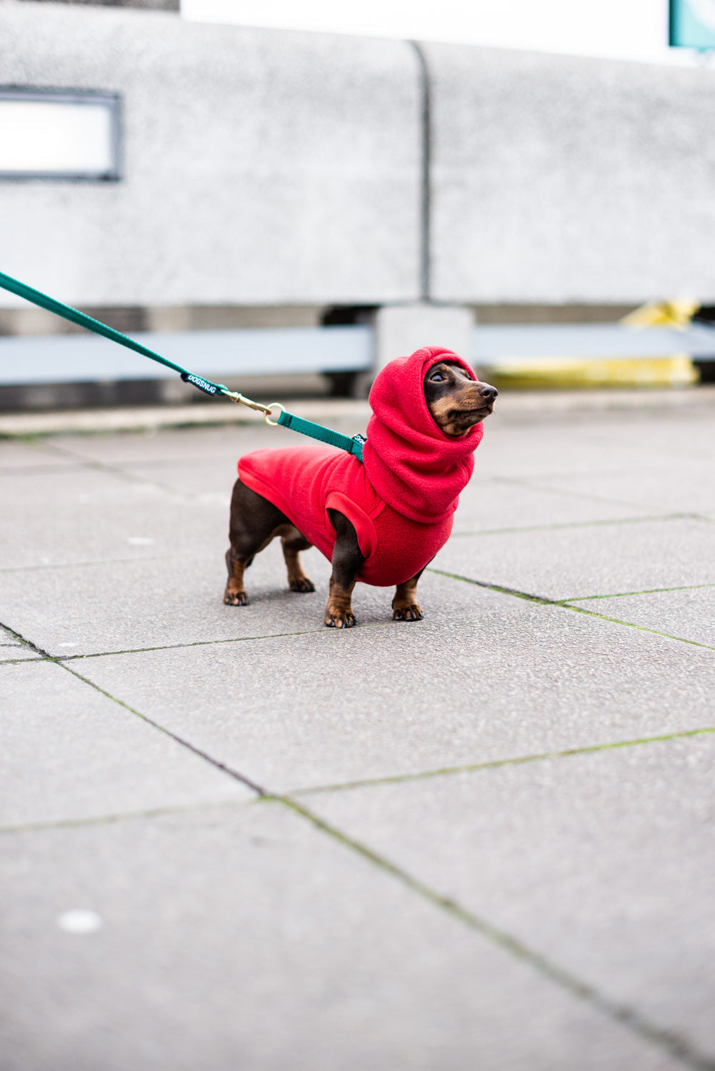 Fleece Jumper - DOGSNUG