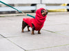 Fleece Jumper - DOGSNUG