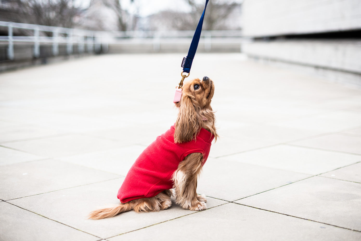 Fleece Jumper - DOGSNUG