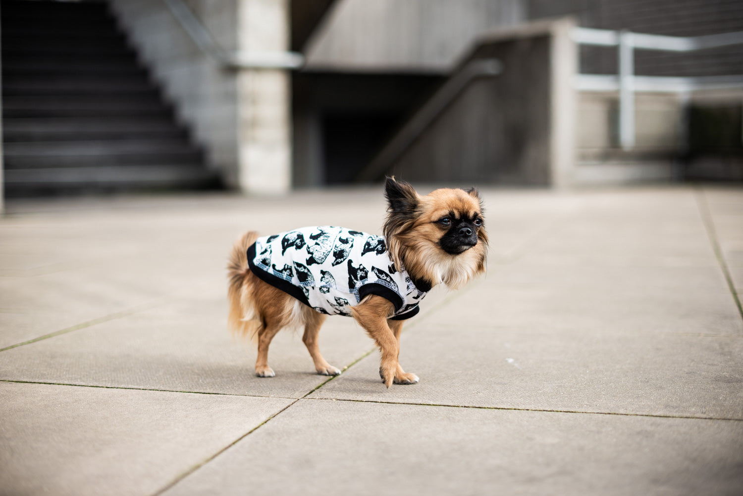 Dog T-Shirt - DOGSNUG