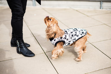 Dog T-Shirt - DOGSNUG