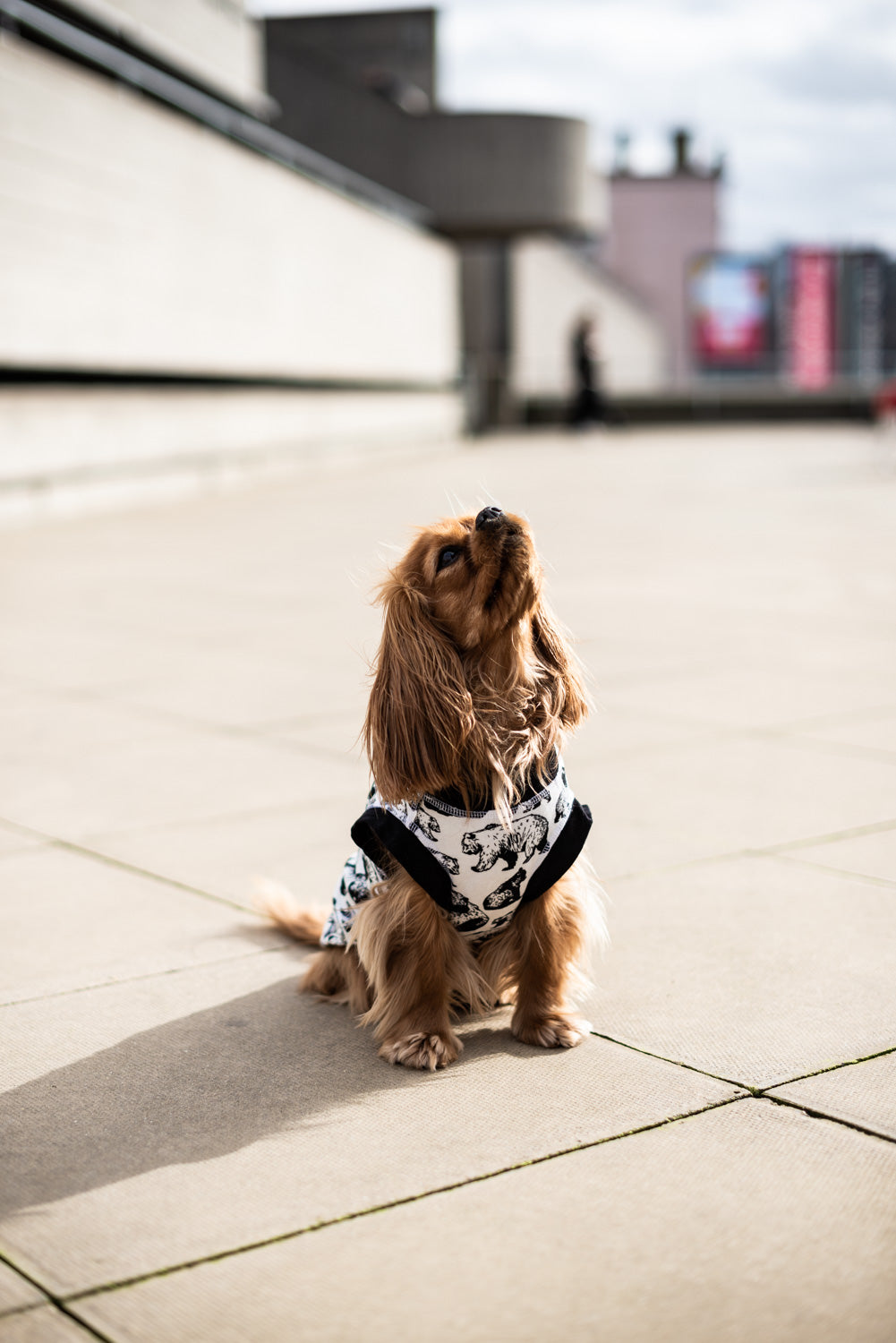 Dog T-Shirt - DOGSNUG